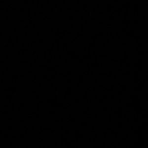 Meet your Posher, Audrey